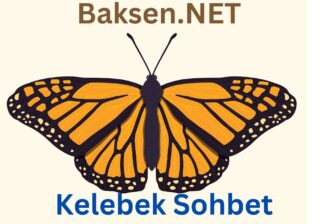 Kelebek Sohbet